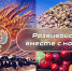 Внимание викторина! - Россельхознадзор