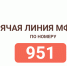 В МФЦ ЛНР заработал короткий номер телефона горячей линии – 951 - Город Луганск