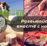 Внимание викторина! - Россельхознадзор