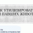 Как утилизировать трупы павших животных - Минсельхоз ЛНР