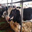 Представители минсельхоза ЛНР посетили выставку AgroVolga в Казани - Минсельхоз ЛНР