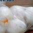 За яйца ответят: в ЛНР монополист завышал цены на продукт первой необходимости - Bloknot-Lugansk.Ru