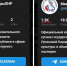Слева на фото – число подписчиков у фальшивого канала, справа – у официального - Bloknot-Lugansk.Ru