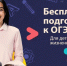 «Педагоги-волонтеры» России организуют бесплатные репетиторские занятия для школьников ЛНР - Глава ЛНР