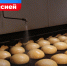 Пищевые предприятия ЛНР увеличат объемы производства за счет инвестпроектов - Луганский Информационный Центр