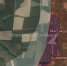 Продвижение в ЛНР | Фото: ТГ-канал «Новости СВО и Мира» - Bloknot-Lugansk.Ru