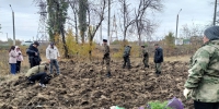 В рамках Всероссийской акции «Сохраним лес» в Стахановском лесничестве высадили 5000 саженцев сосны  крымской - Минприроды ЛНР
