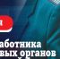Поздравление Главы ЛНР Леонида Пасечника с Днем работника налоговых органов - Город Луганск