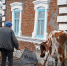 Два муниципалитета ЛНР в 2025 году получат поддержку в рамках программы развития села - Луганский Информационный Центр