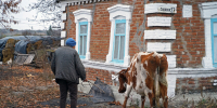 Два муниципалитета ЛНР в 2025 году получат поддержку в рамках программы развития села - Луганский Информационный Центр
