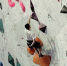 Ребята из ЛНР приняли участие в соревнованиях по скалолазанию в Воронеже - Минобрнауки ЛНР