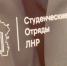 масштабный карьерный форум проходит в доме молодежи - Правительство ЛНР