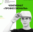 В ЛНР стартовал региональный этап Чемпионата «Профессионалы» - Минобрнауки ЛНР