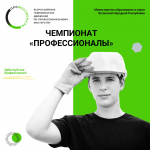В ЛНР стартовал региональный этап Чемпионата «Профессионалы»