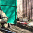 В Луганске горел туберкулёзный диспансер - Bloknot-Lugansk.Ru