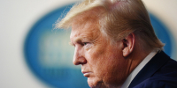 Трамп анонсировал новый разговор с Путиным по теме Украины - Луганский Информационный Центр