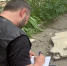Следком ЛНР выясняет, кто виноват в обрушении луганского балкона - Bloknot-Lugansk.Ru