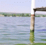 Дожди и приток воды могут исправить ситуацию с мором рыбы в Луганском море — глава округа - Луганский Информационный Центр