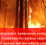 В результате природных пожаров в Станично-Луганском округе введен режим чрезвычайной ситуации - Минприроды ЛНР