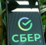 Портфель ответственного финансирования Сбера превысил 4,2 трлн рублей за семь месяцев - Луганский Информационный Центр