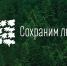 Свыше 160 тысяч деревьев по Программе экогуммиссий высадят в исторических регионах России в рамках акции «Сохраним лес» - Минприроды ЛНР