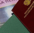 Жители ЛНР могут получать надбавки к пенсии за несовершеннолетних детей и детей-студентов - Правительство ЛНР
