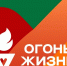 Всероссийская эстафета "Огонь жизни" прибудет в Луганск - Город Луганск