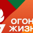 ЛНР примет участие во всероссийской эстафете «Огонь жизни» - Луганский Информационный Центр