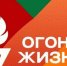 ЛНР примет участие во всероссийской эстафете "Огонь жизни" - Правительство ЛНР