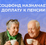 Соцфонд России по ЛНР выплачивает социальную доплату к пенсии - Город Луганск