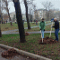 Сотрудники Администрации города приняли участие в субботнике - Город Луганск