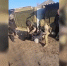 Житель Новоайдарского района осужден за участие в террористическом сообществе - ГТРК ЛНР