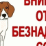 Администрацией Луганска проводятся мероприятия по отлову животных без владельцев - Город Луганск