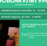 В Академии «Меганом» открылся набор на программу «#СВОяКУЛЬТУРА» в 2026 году - Минкульт ЛНР