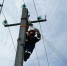 Непогода обесточила часть потребителей в ЛНР - Правительство ЛНР