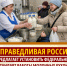 СПРАВЕДЛИВАЯ РОССИЯ предлагает установить федеральный стандарт работы молочных кухонь - Справедливая Россия