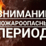 пожароопасный период устанавливается в республике с 1 апреля - Правительство ЛНР