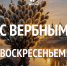 Поздравление Руководителя фракции СПРАВЕДЛИВАЯ РОССИЯ в Народном Совете ЛНР Геннадия Тараканова с Вербным воскресеньем - Справедливая Россия