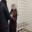 ФСБ задержала жительницу Марковского района, подозреваемую в государственной измене - Луганский Информационный Центр