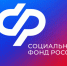 В каком случае Отделение СФР по ЛНР выдает маткапитал самому ребенку - Жизнь Луганска