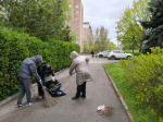 Минприроды ЛНР присоединилось к Всероссийскому субботнику