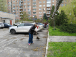 Минприроды ЛНР присоединилось к Всероссийскому субботнику