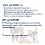ОБЯЗАТЕЛЬНОЕ МАРКИРОВАНИЕ ЖИВОТНЫХ: ВАЖНАЯ ИНФОРМАЦИЯ ДЛЯ ВСЕХ ВЛАДЕЛЬЦЕВ