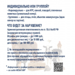 ОБЯЗАТЕЛЬНОЕ МАРКИРОВАНИЕ ЖИВОТНЫХ: ВАЖНАЯ ИНФОРМАЦИЯ ДЛЯ ВСЕХ ВЛАДЕЛЬЦЕВ